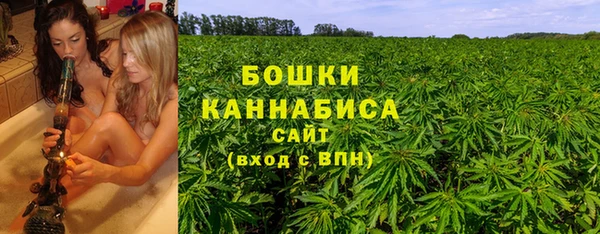дмт Аркадак