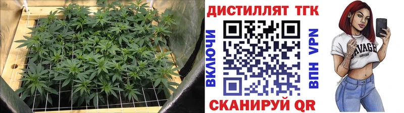 маркетплейс клад  купить  цена  Бирск  ТГК жижа 
